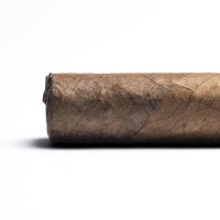 Blackbird Crow Robusto Cigar - 1 Single